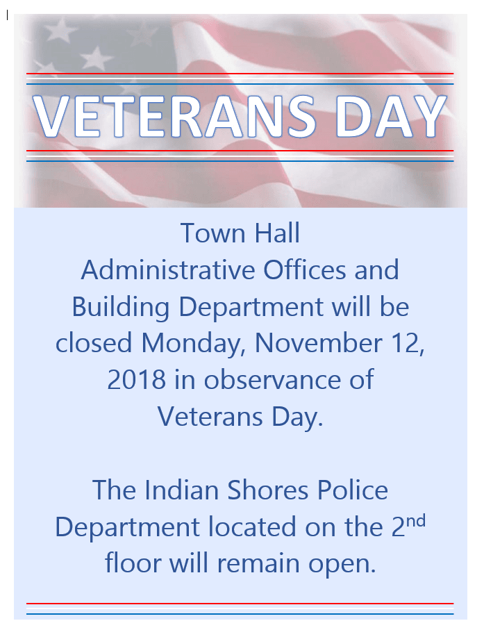 Veterans Day Flyer Notice