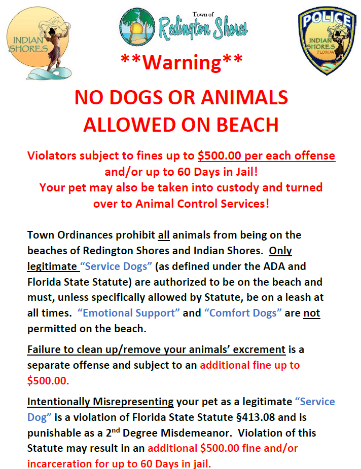 No Dogs on the Beach Flyer