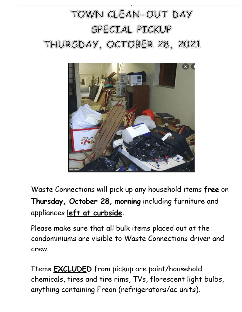 Town Bulk Items Cleanout Day October 28 2021 Flyer (PNG)